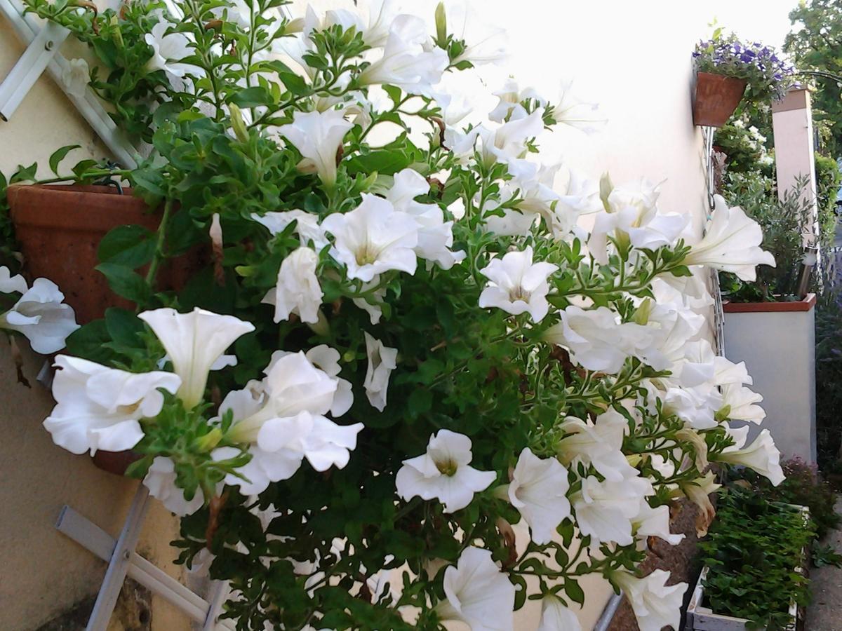 Dolce Valeggio sul Mincio
